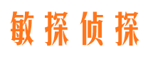 三山敏探私家侦探公司